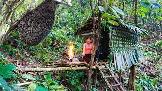 Build Shelters In Deep Forests, Catch Wild Bees For Honey To Survive - THUY / Survival