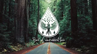 Best of alexrainbirdMusic 2022 🎉 - An Indie/Pop/Folk/Rock Playlist