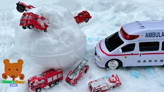 Car Carrier & Ambulance Look for 12 Fire Trucks and Construction Vehicles... &more【Kuma's Bear Kids】