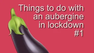 Things to do with an Aubergine in Lockdown #1