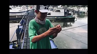 Рыбалка в порту как легко поймать рыбу в центре города.. . #portfishing #streetfishing