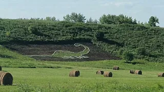 Деревня Динозавров Шестаково Кемеровская Область