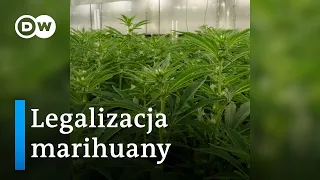 Legalizacja marihuany w Niemczech