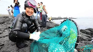 Jeju Haenyeo: Women divers on Jeju Island are dwindling