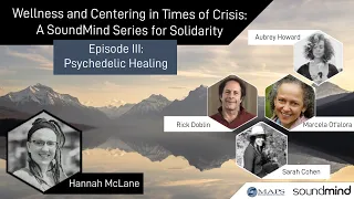 Solidarity Series Psychedlics and Healing with Rick Doblin and Marcela Ot’alora G.