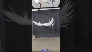Feathers Fall Fast in a Vacuum