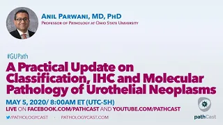 Practical update on classification of urothelial neoplasms - Dr. Parwani (Ohio State) #GUPATH