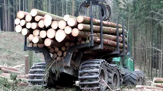 Vyvážečka John Deere 1110E maká v lese, zdravý i kůrovcový smrk Kuničky - Němčice - Újezd u Boskovic
