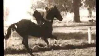 Phar Lap