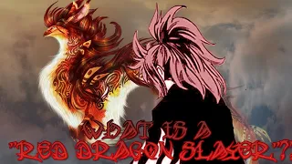 What Is Suzaku's Dragon Slayer Attribute Going To Be Like??