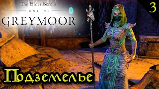 The Elder Scrolls Online: Greymoor #3 ☛ Подземелье Темница изгнанников ✌