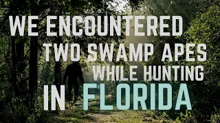 HUNTER AND HIS FRIEND ENCOUNTER TWO "SKUNK APES" IN A WILDLIFE MANAGEMENT HUNTING AREA!!!