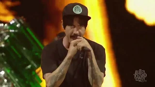 Red Hot Chili Peppers - Dani California -  Lollapalooza Chicago 2016 HD