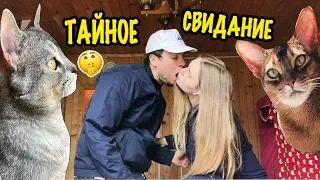 КОТЫ СОРВАЛИ ТАЙНОЕ СВИДАНИЕ МАМЫ С ПАРНЕМ! ЧТО СКАЖЕТ ПАПА?