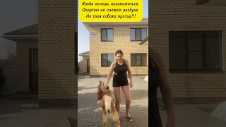 Подписывайся 💕видео каждый день ☺️☺️☺️