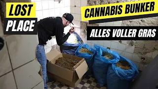 Cannabis Plantage im Bunker - Polizei zu faul das Gras mitzunehmen!