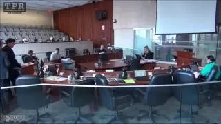 Hamilton City Council GIC for Feburary 3, 2016