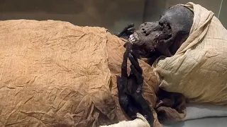 Grand parade in Cairo as Egyptian mummies move to new museum