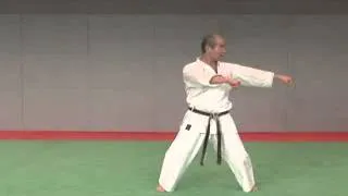 7. Naihanchi Wado Ryu