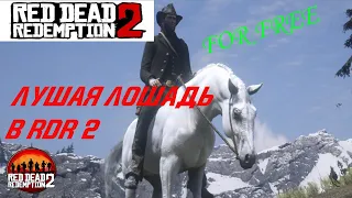 КАК НАЙТИ САМУЮ ЛУЧШУЮ ЛОШАДЬ RED DEAD REDEMPTION 2 / АРАБСКИЙ СКАКУН В  RD2