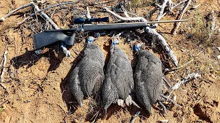 Shooting Gamebirds in the Limpopo Valley, GameBird Potjie Stew! COVID-19 Lockdown 6!!