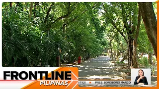 Gubat sa Metro Manila, mas mababa ang heat index kumpara sa siyudad | Frontline Pilipinas