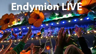 Live: Krewe of Endymion