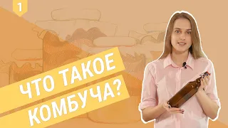 Что такое комбуча?