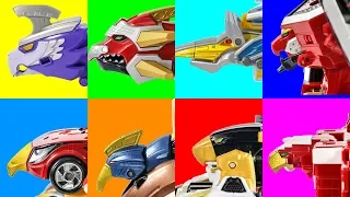 Wild birds PowerRangers DinoCharges Jungle Animal MegaForce BladeForce BeastGuardian Transformation