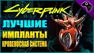 CYBERPUNK 2077 (КИБЕРПАНК 2077) ГАЙД. ВСЕ ЛЕГЕНДАРНЫЕ КИБЕРИМПЛАНТЫ (КРОВЕНОСНАЯ СИСТЕМА)