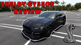 2019 Shelby GT350R REVIEW! *in-depth exterior/interior walkaround w/ driving impressions