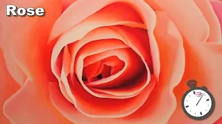 How to Paint a Rose in Oil timelapse painting lesson