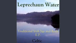 Out on the Ocean/Lannigans Ball/The Kesh Jig