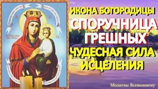 В день иконы Богородицы "Споручница грешных" просите исцеления. Сегодня молитва имеет особую силу