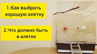 Что должно быть в клетке у попугая || Как выбрать клетку для попугая