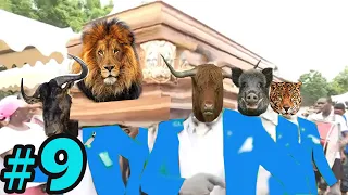 Funniest ANIMAL FIGHTS ⚰ Wild Animals Attack Meme Compilation 2021 | COFFIN DANCE MEME  #9