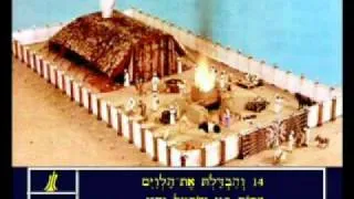 Numbers 8 Hebrew Picture Bible