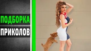 Подборка лучших приколов #6 | Смешно до слез | Ноябрь 2020