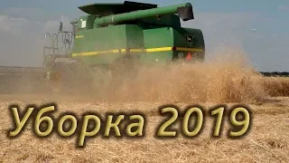 Уборка пшеницы 2019! комбайн John Deere.