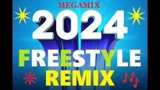 2024 MEGA FREESTYLE MELODY SOUND REMIX