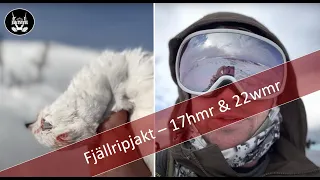 JAkTSTrUL del22 - fjällripa med 17hmr och 22wmr