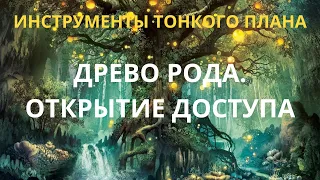 Древо Рода. Открытие доступа.