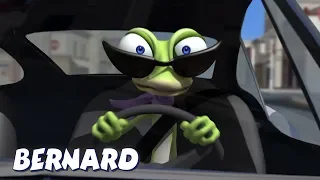 Bernard Bear | Crazy driving AND MORE | Cartoons for Children