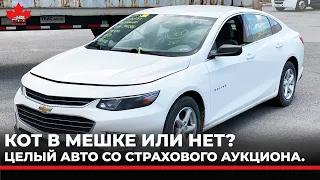 Авто из Канады. Целый 2016 Chevrolet Malibu с аукциона impactauto.