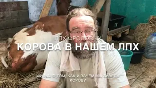 Корова в ЛПХ Фроловых - где купить, как везти и где держать корову!