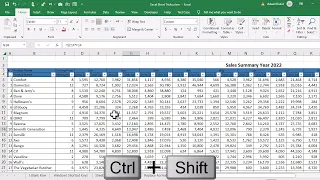 Horizontal Scrolling in Excel | Excel Tricks