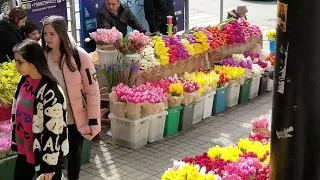 Девочки, поздравляю с праздником Весны! С Женским днем 8 марта. Лазаревское Сочи. 8 марта 2023 г