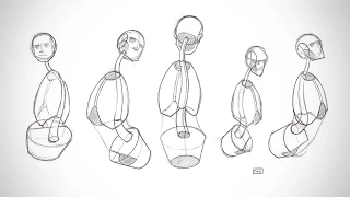 Anatomy Critiques - The Spine