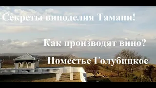 Все секреты виноделов Тамани! Голубицкое поместье. Вся правда о  вине! Экскурсия на производство.