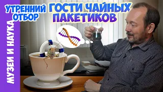 Что можно найти в чайном пакетике? Чайные сюрпризы в лаборатории и на таможне.